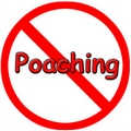 No poaching sign
