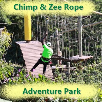 Mac Banana Chimp & Zee Rope Adventures
