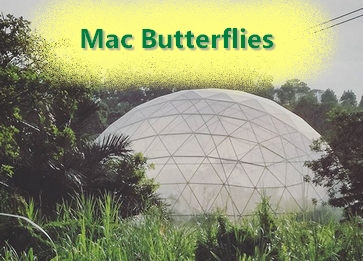 Mac Banana Butterfly Dome
