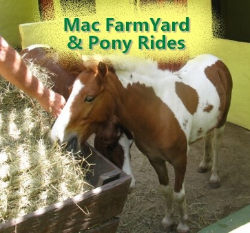 Mac Banana Farm Yard and Pony Rides