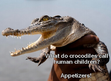 Reptile jokes 1