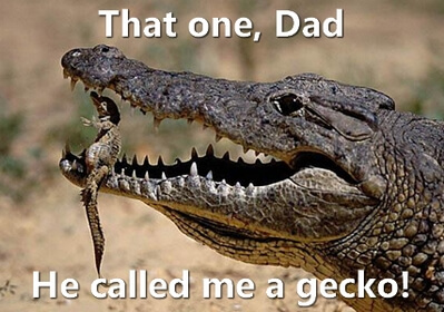 Reptile jokes 2